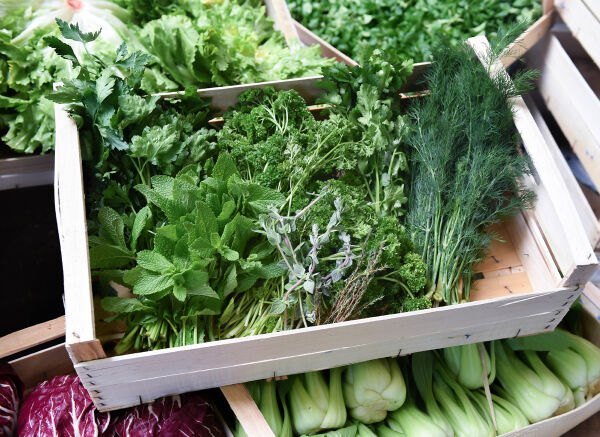 Aliments frais Herbes du jardin