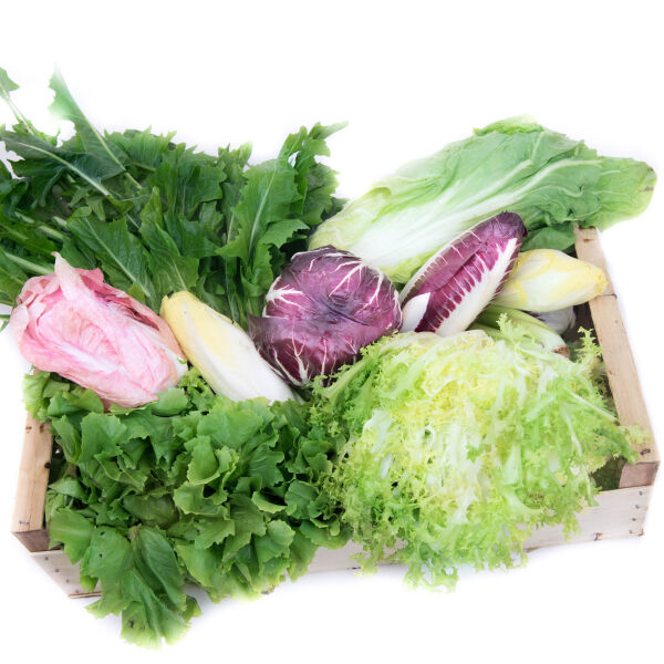 Aliments frais Boîte de laitue amère