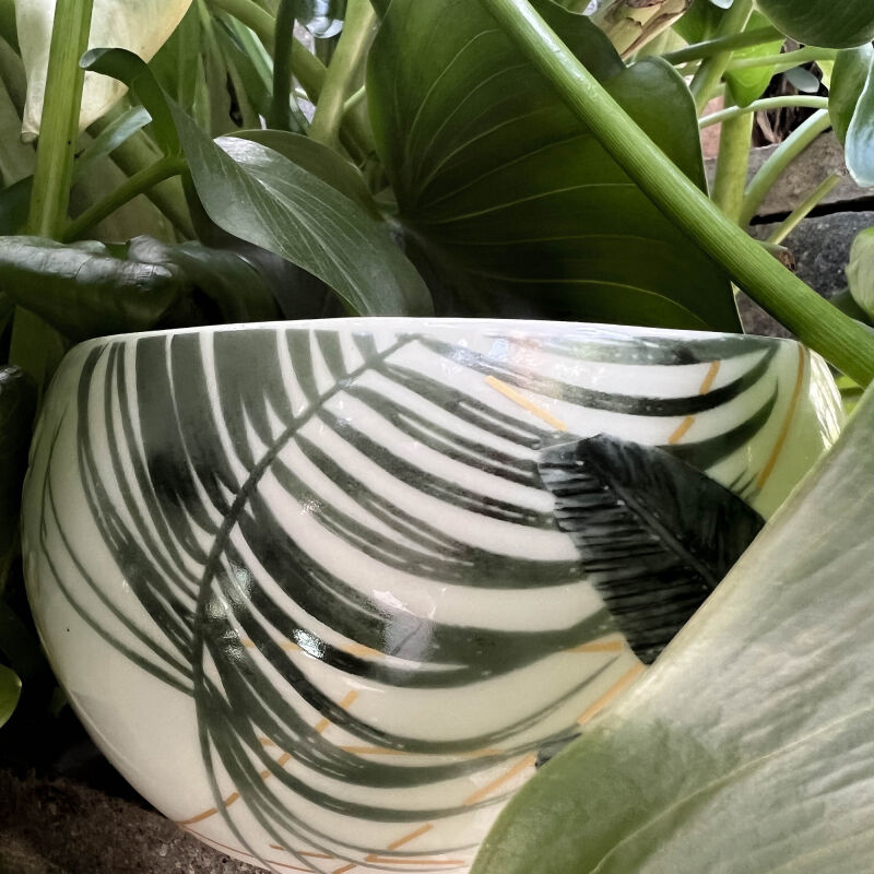 bowl summer palm