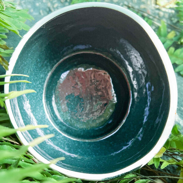 bowl summer palm