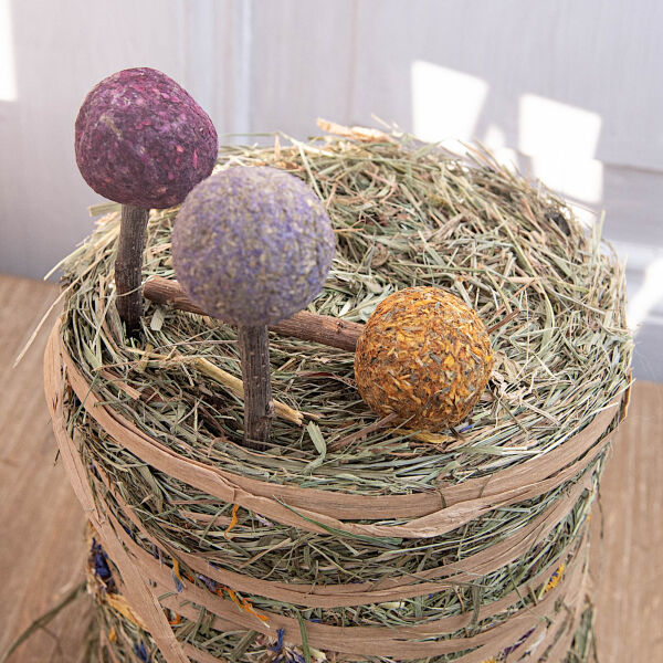 Cake pops 1