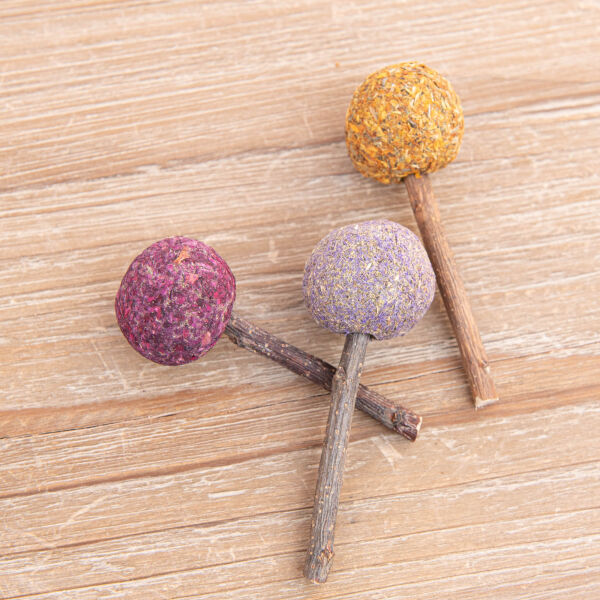 Cake pops 1
