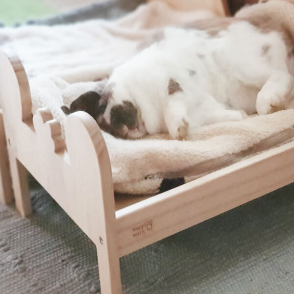 Hopplwerk bed Klopfer