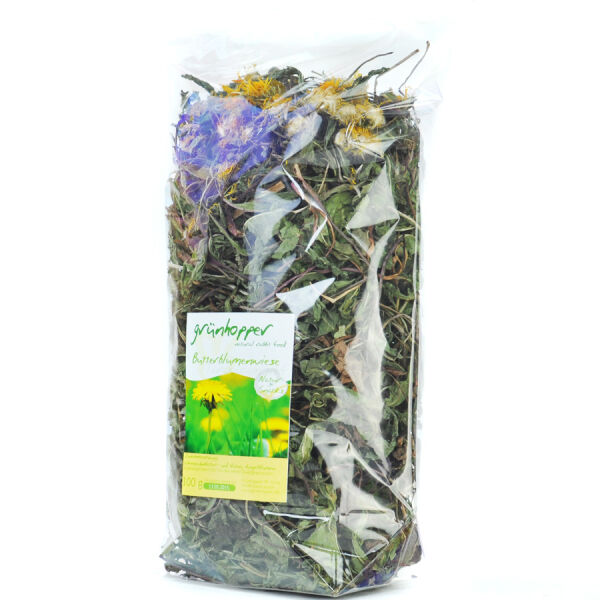 Pissenlit Butterblumenwiese