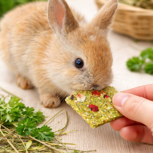 Hopps green strawberry