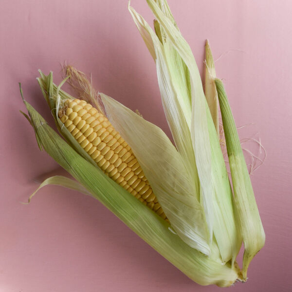 Aliments frais Maiskolben
