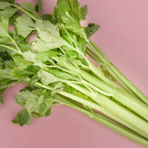 Aliments frais Staudensellerie