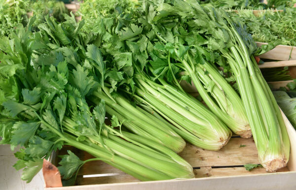 Aliments frais Staudensellerie