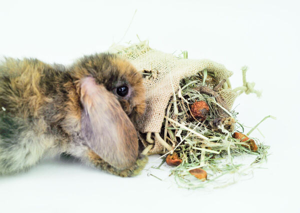 bunfun