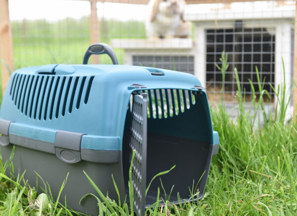 Box de transport maxi