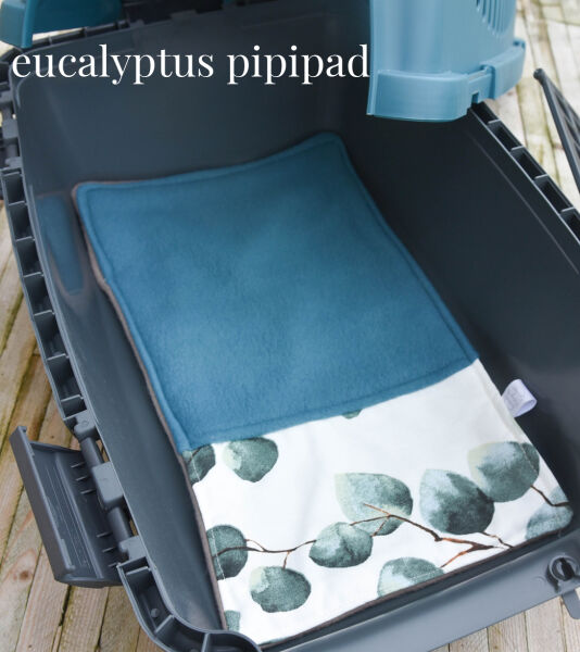 Box de transport maxi