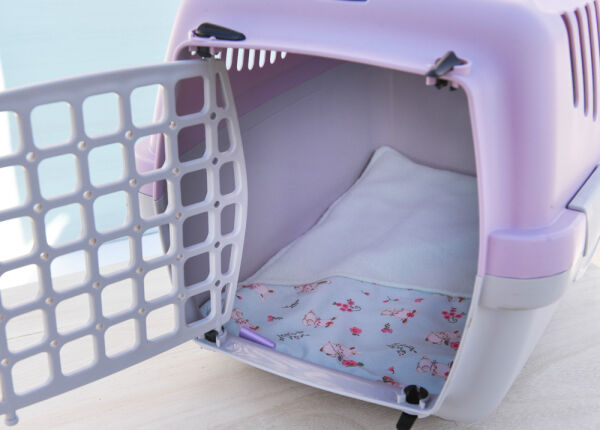 Box de transport maxi