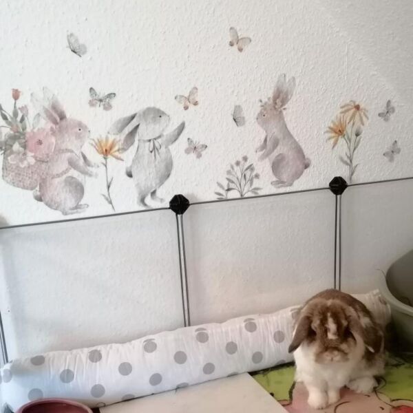tableau mural - Wandbild