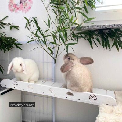 Hopplwerk Rampe heaven 80 cm