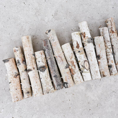 Bordure en bouleau - Birkenumrandung