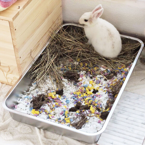toilette en acier inoxydable pour lapins - Edelstahl...