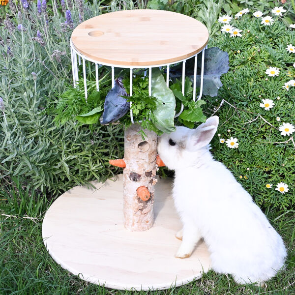 Feeding tree - Futterbaum