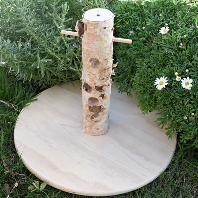 Feeding tree - Futterbaum