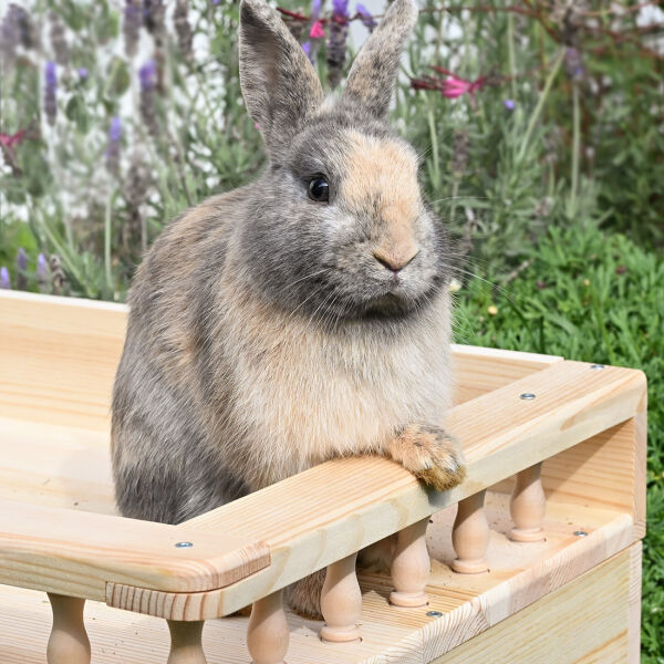 Terrassenhaus "bunny heart" nature