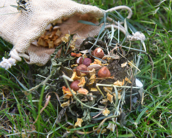 bunfun Écureuil Eichhörnchen